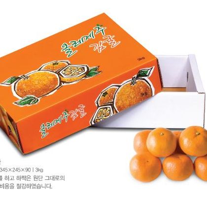 일반패키지 016
