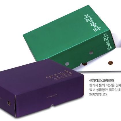 일반패키지 013