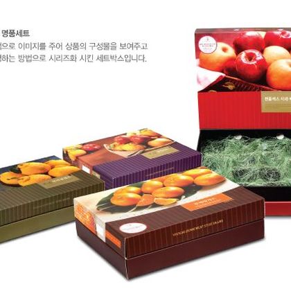 고급패키지 009